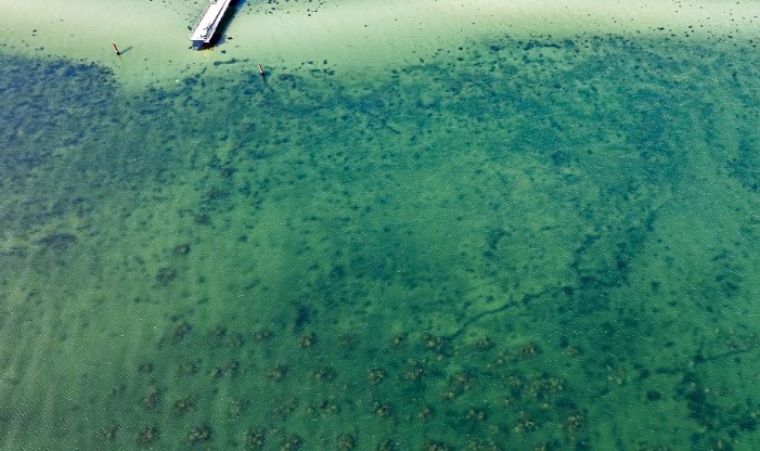 dronebillede Egmont Revet, maj 24